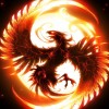 Andrew Shepard profile image