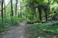 The Best Wild Places in the Midlands