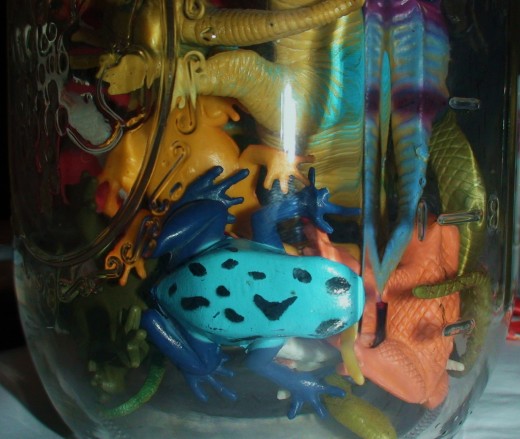 The mason lovey jar used to hold only plastic frogs.