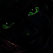 tjaxon profile image