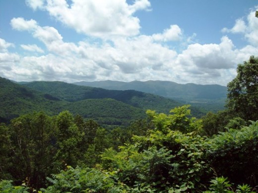 A view from one of the overlooks.  Beautiful Blue Ridge Mountains.