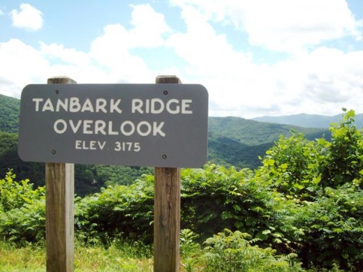 Tanbark Ridge Overlook