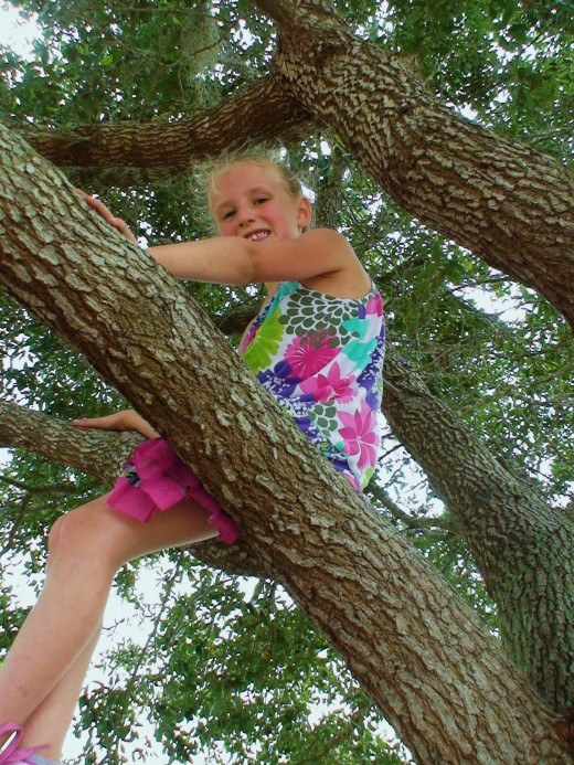 Climb trees.