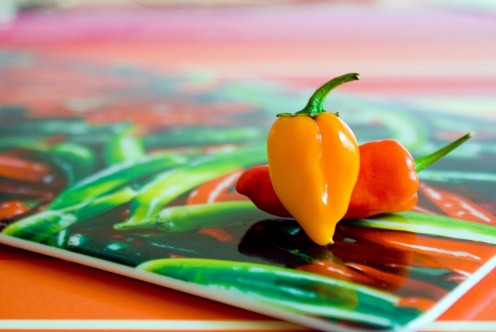Chili Peppers