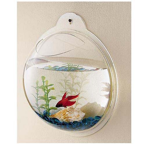Wall mounted fish tank