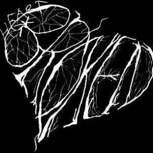 Poem of a Broken Hearted