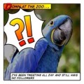 How to Use Twitter to Deliver Followers and Targeted Web Traffic