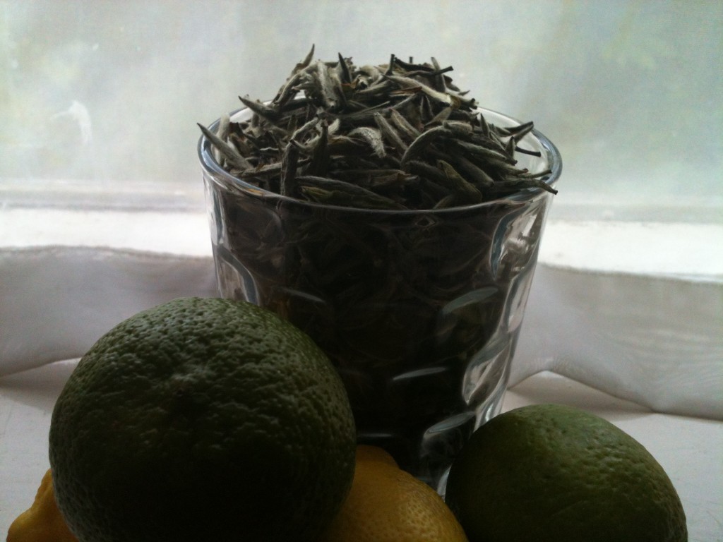 Why White Tea Might Be Even Better For You Than Green Tea HubPages