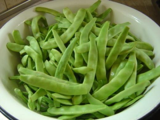 Wash green beans, cut or break "tails"