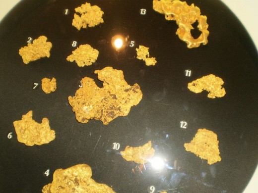 Gold nuggets on display.