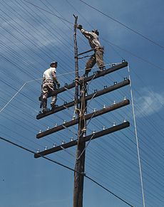 Wages as an Electrician can vary with specialized training and the length of time in the trade. 