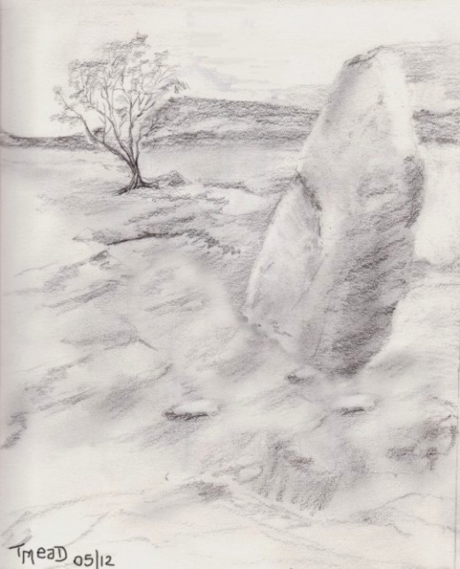 The stone circle, with lonesome tree