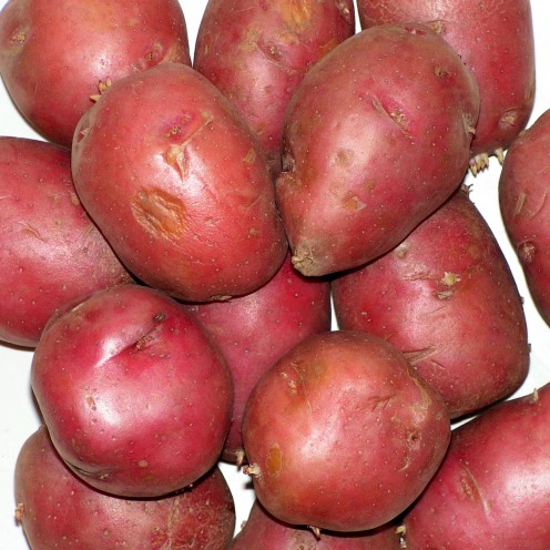Red Skin Potatoes