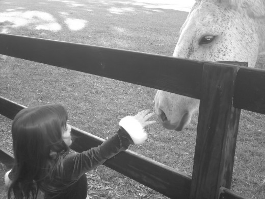 Exploring the natural scenery and animals on the historic plantations! 