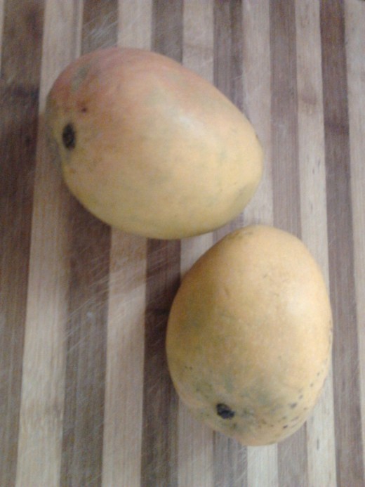 Fresh ripe mangoes, Alphonso variety