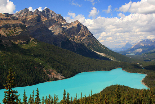 Peyto Lake in Banff National Park is one of the many beautiful sites and attractions. Over 3 million people visit the park every year.