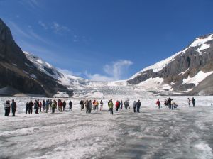 The Athabasca Glacier is in Banff National Park.  Sightseeing tours out on to the glacier are available. 