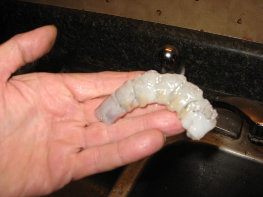 The shrimp body will pull free from the shell and the vein.