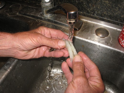 Rinse shrimp with cool water to remove any remaining veins.