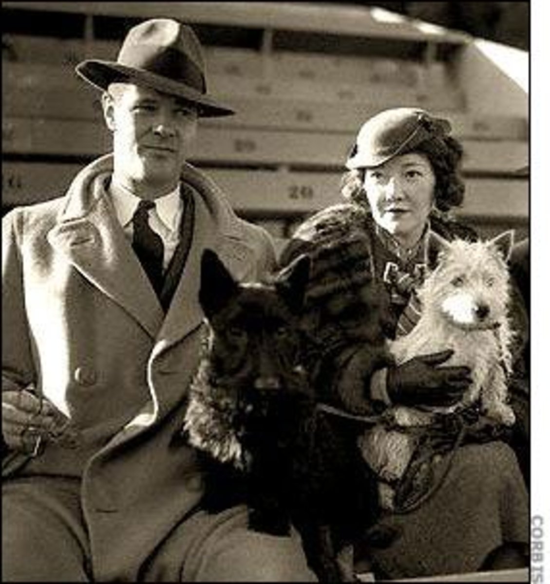Image result for paul kelly and dorothy mackaye