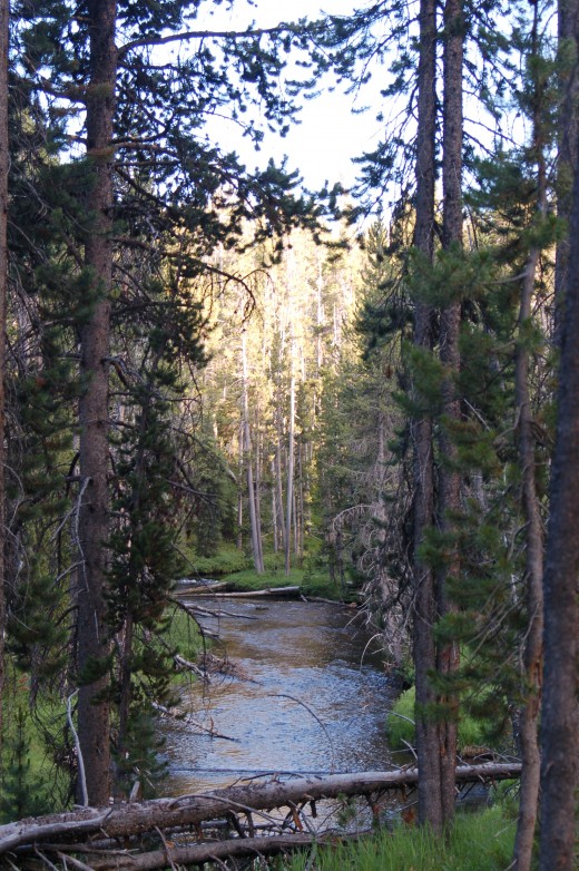 Fire Meadow Trail, Yellowstone National Park