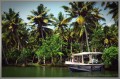 The Backwaters of Kerala, India - Poovar