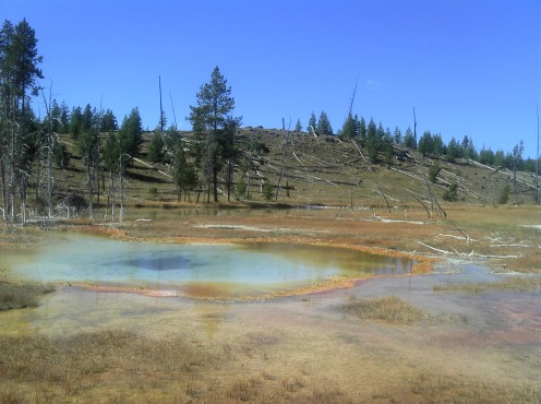 On the way to Morning Glory Hot Pool. 