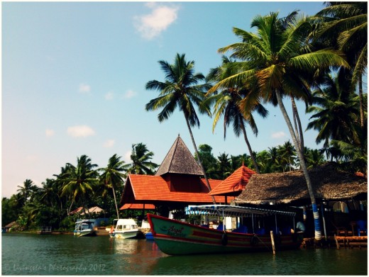 The resorts at the backwaters