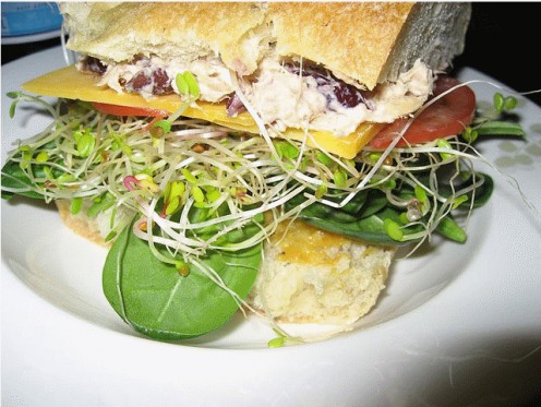 Sprouts and micro-greens together make a great sandwich. yum!