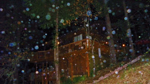 In this extremely rare showing, Nancy,good dog Otis and me are greeted by thousand of spirit generated orbs as they pass by Oregon Orb House.