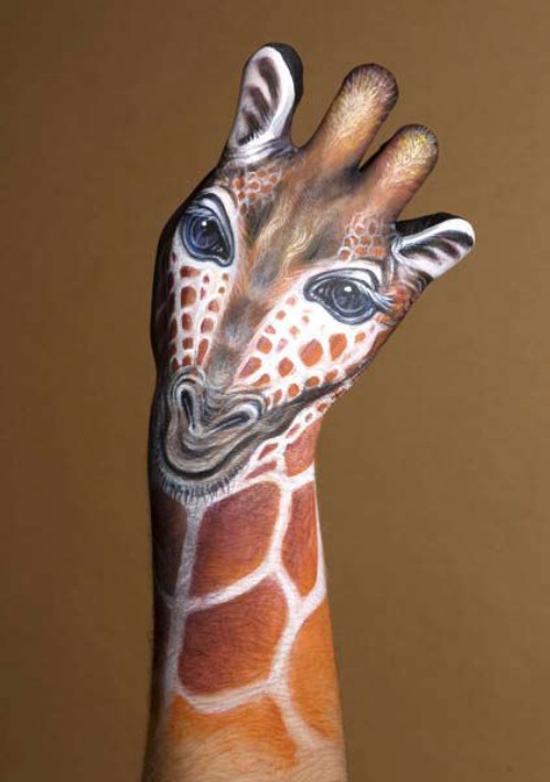 Curious Giraffe