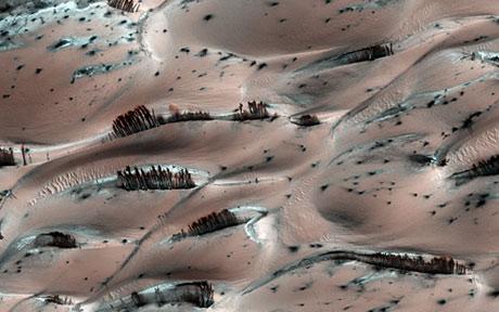 This NASA image from 2010 piqued interest in the idea of trees being native to Mars.