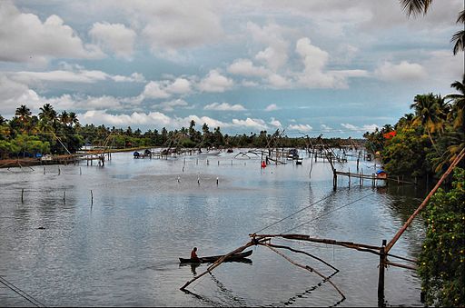 Inner point of Cherai backwaters bearing a cluster of fishing nets