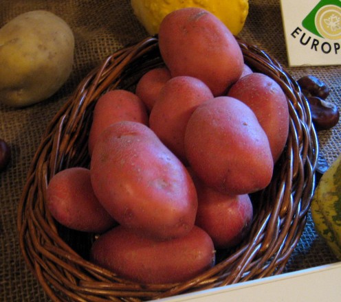 Red Skin Potatoes