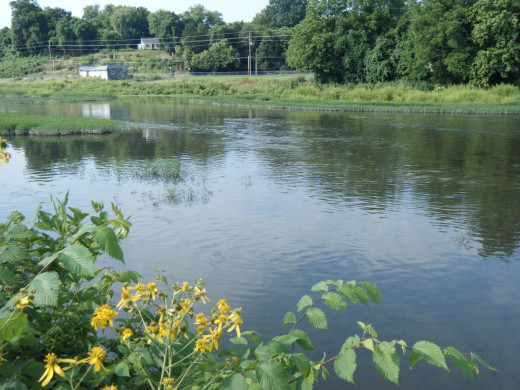 Below where the West Prong and East Branch of the Little Pigeon meet in Sevierville, Tennessee