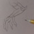 Drawing the outline of the fingers/claws. Drawing the outline of the fingers/claws.