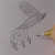 Draw the claws at the tips of the fingers. Draw the claws at the tips of the fingers.