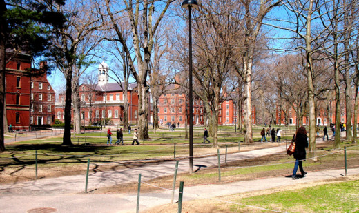 Famed Harvard Yard (the Old Yard, in fact)
