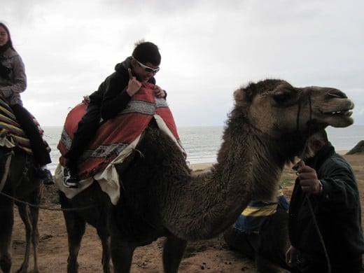 Boy getting up on a camel in Morocco.