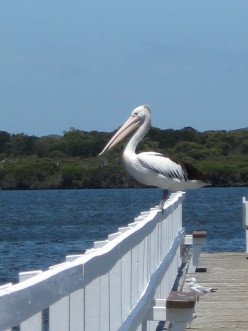 http://s1.hubimg.com/u/6782632_f248.jpg