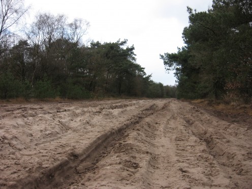 Open terrain, Oirschotse Heide
