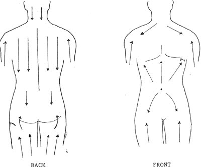 Tips For Body Brushing