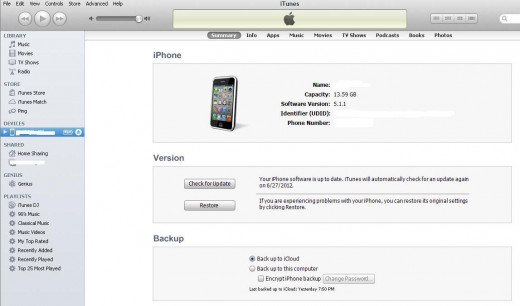 Click "Serial Number" to switch that field to displaying your device's UDID number.