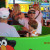 On the teacups with Dad and Grandpa On the teacups with Dad and Grandpa