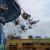 Riding on the swings Riding on the swings