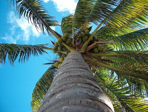 http://www.flickr.com/photos/69er/124946458/
