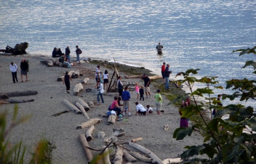 Families enjoying Carkeek Park in Seattle, Washington.