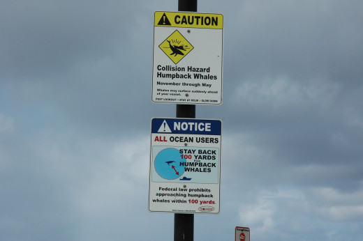 Sign at the Maunalua Bay Boat Ramp