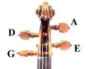 Which pegs tune which strings?