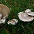 False Champignon False Champignon